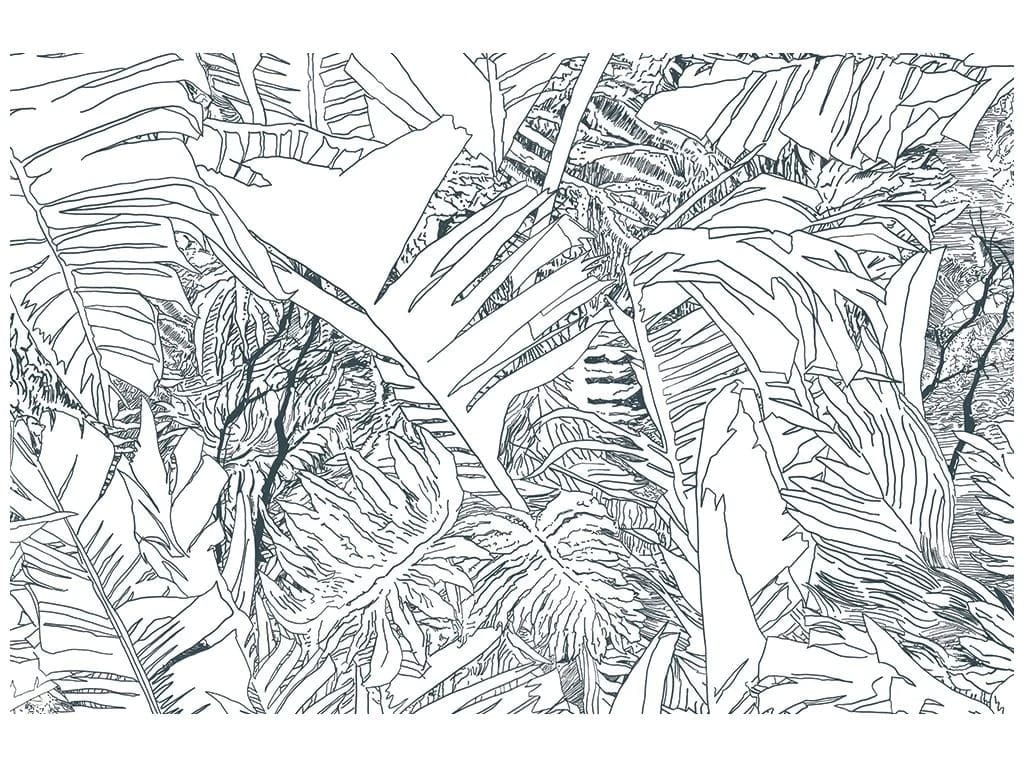 Papier peint Petite Friture - Jungle